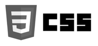 CSS 3  logo in doha qatar